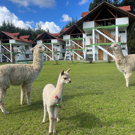 Resort Alapa Huancayo Zewnętrze zdjęcie