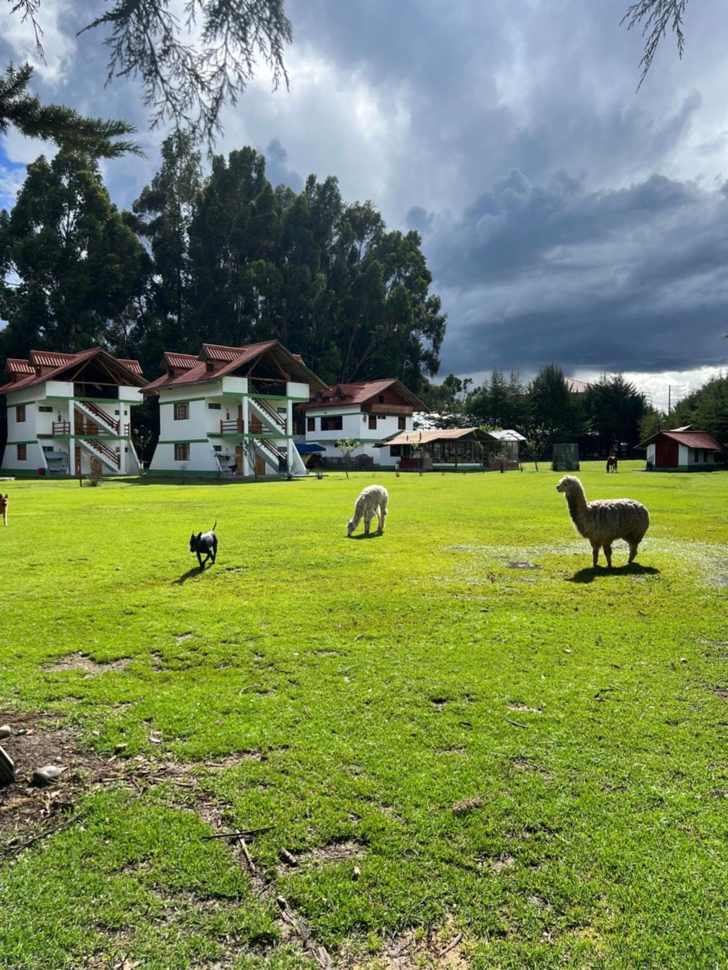 Resort Alapa Huancayo Zewnętrze zdjęcie