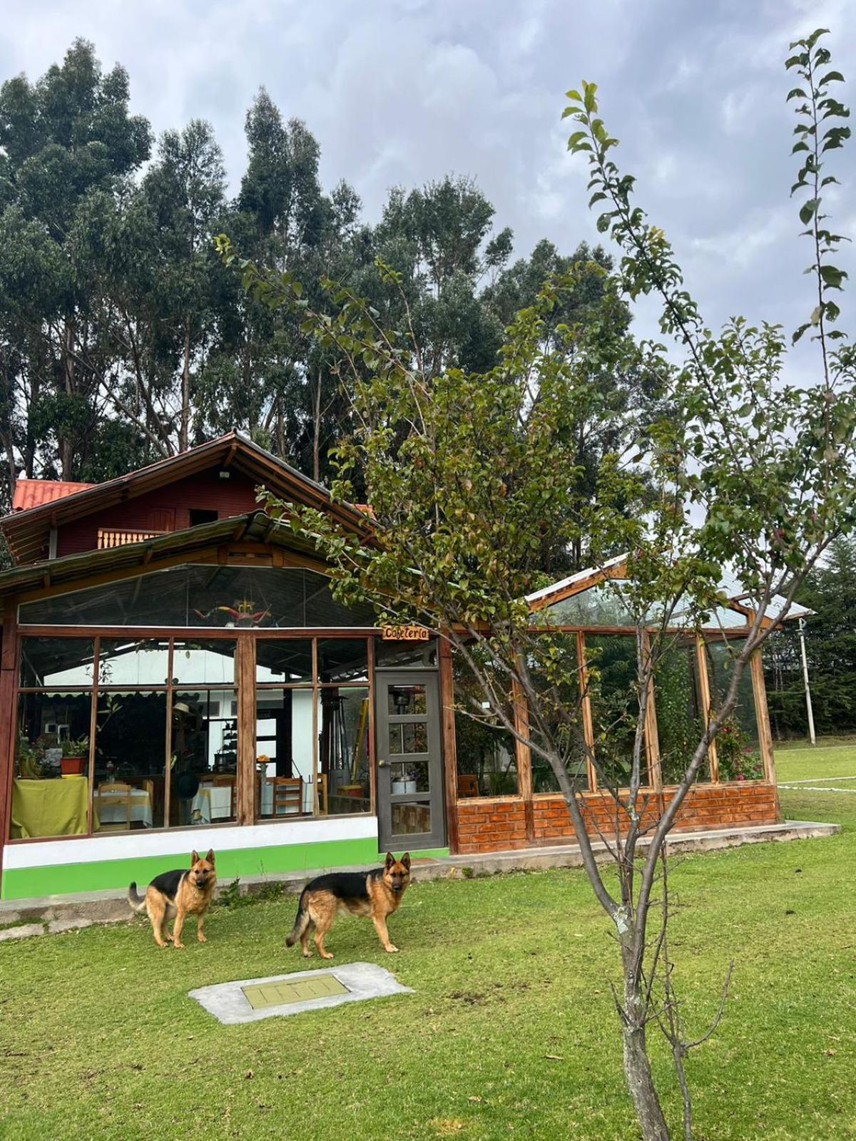 Resort Alapa Huancayo Zewnętrze zdjęcie