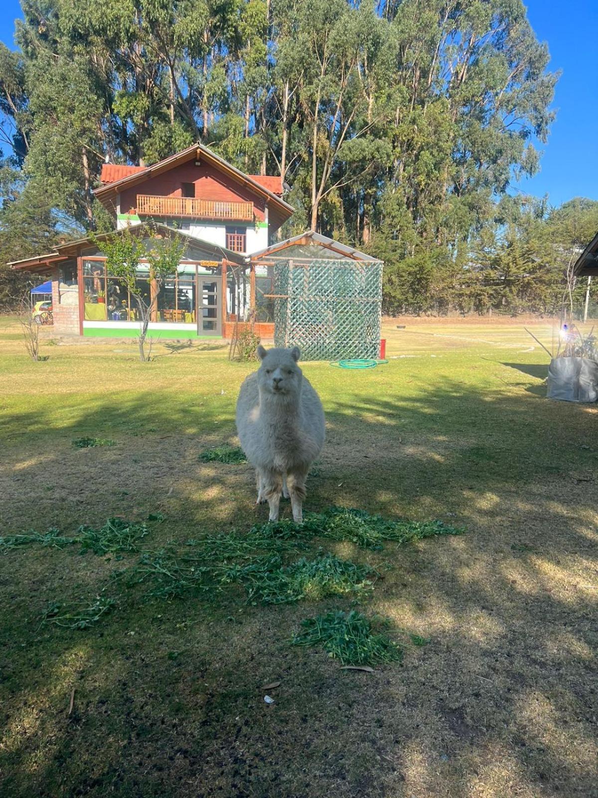 Resort Alapa Huancayo Zewnętrze zdjęcie