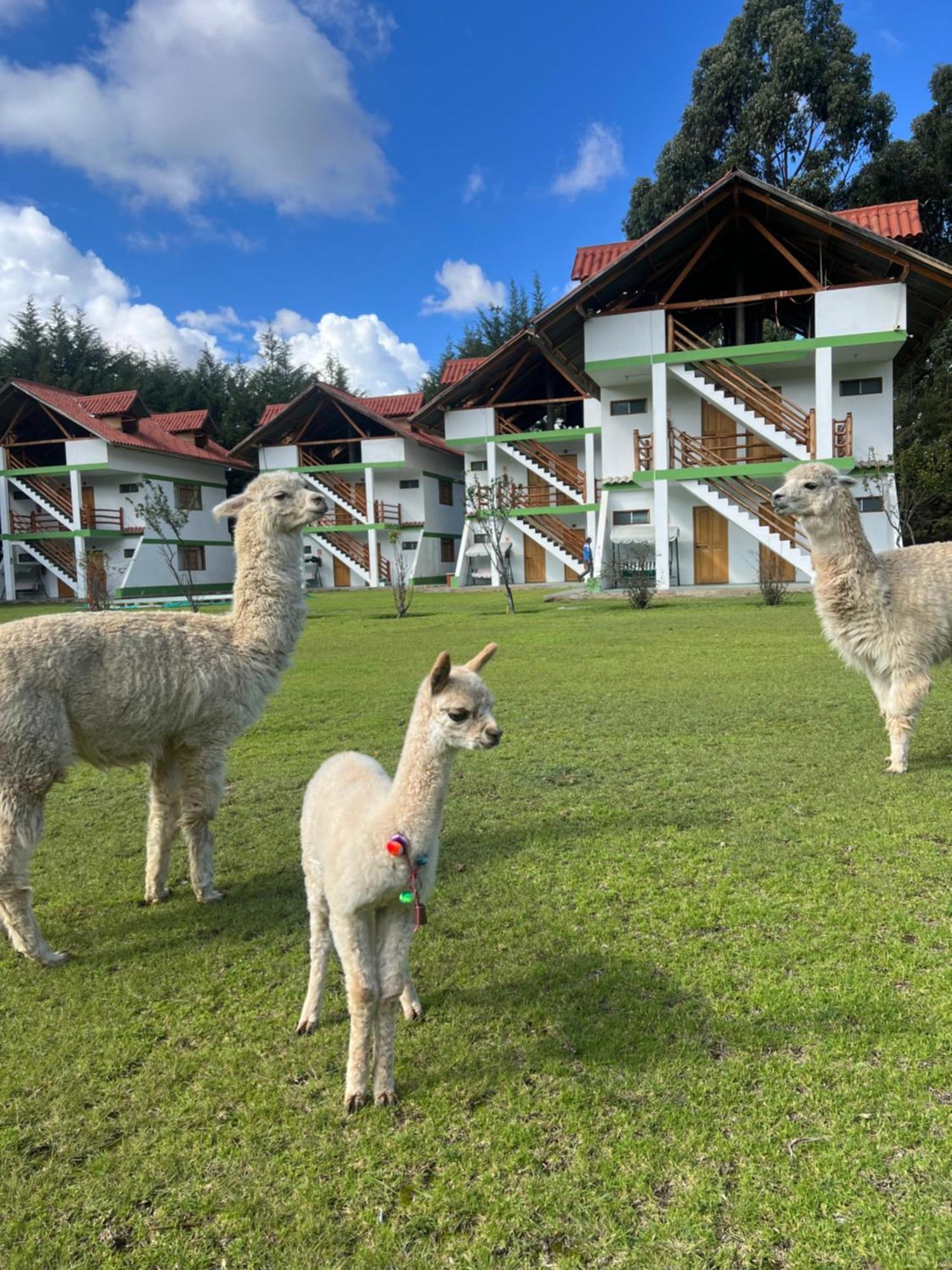 Resort Alapa Huancayo Zewnętrze zdjęcie